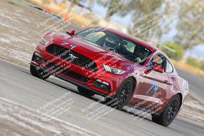 media/May-05-2023-PCA Central Coast (Fri) [[d16b5b411f]]/White Group/Session 2 (Off Ramp Exit)/